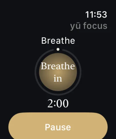 Apple Watch: a guided breath, a gold disc reading “Breathe in”, 2:00 remaining and a Pause button.